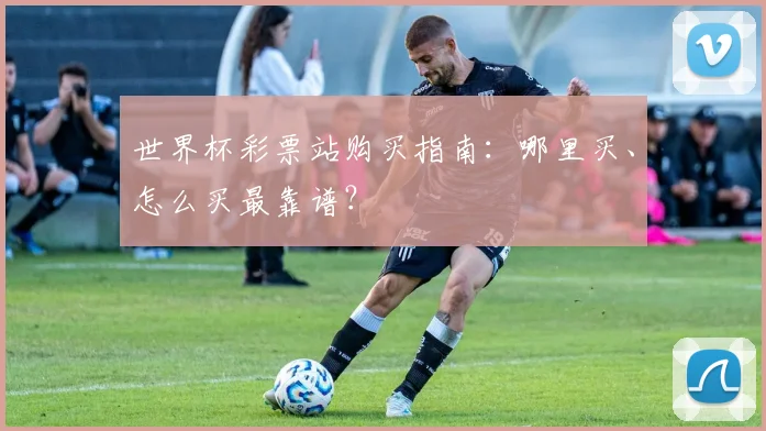 世界杯彩票站购买指南：哪里买、怎么买最靠谱？