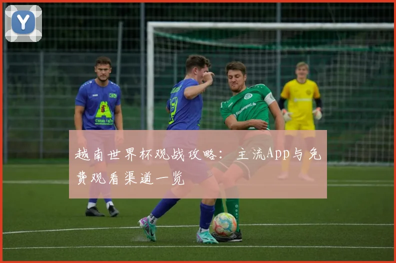 越南世界杯观战攻略：主流App与免费观看渠道一览
