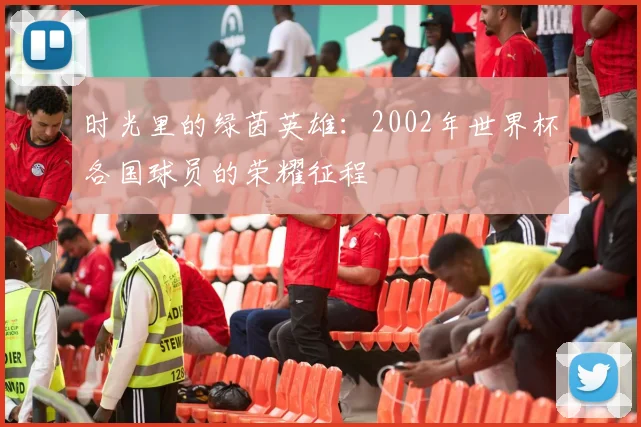时光里的绿茵英雄：2002年世界杯各国球员的荣耀征程