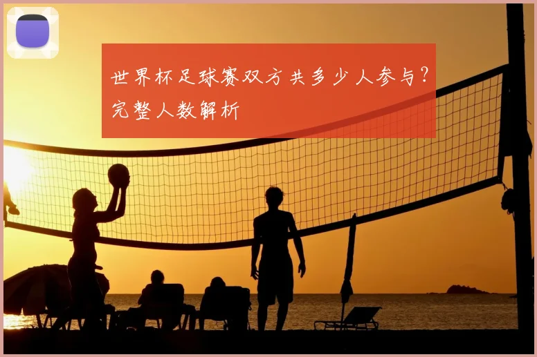 世界杯足球赛双方共多少人参与?完整人数解析
