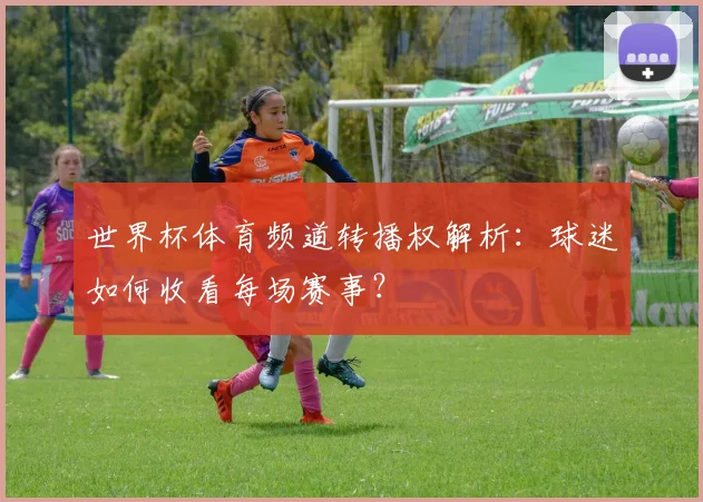 世界杯体育频道转播权解析:球迷如何收看每场赛事?