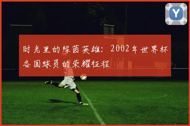 时光里的绿茵英雄：2002年世界杯各国球员的荣耀征程