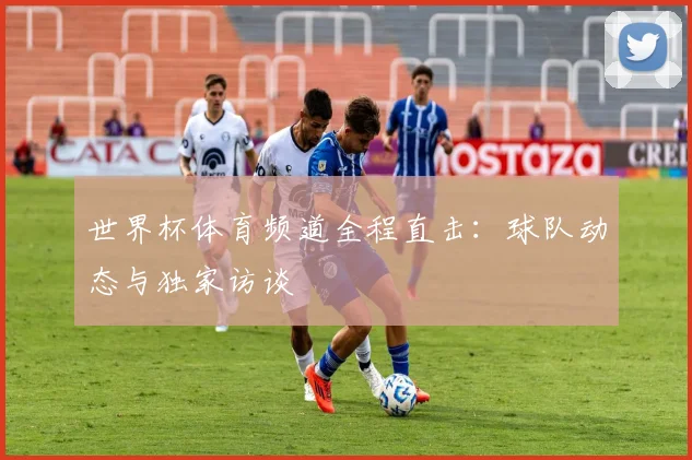 世界杯体育频道全程直击:球队动态与独家访谈
